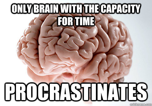 Only brain with the capacity for time procrastinates  - Only brain with the capacity for time procrastinates   Scumbag Brain