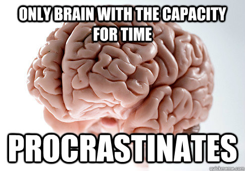 Only brain with the capacity for time procrastinates   Scumbag Brain
