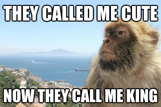 They called me cute now they call me king  Planet of the Apes