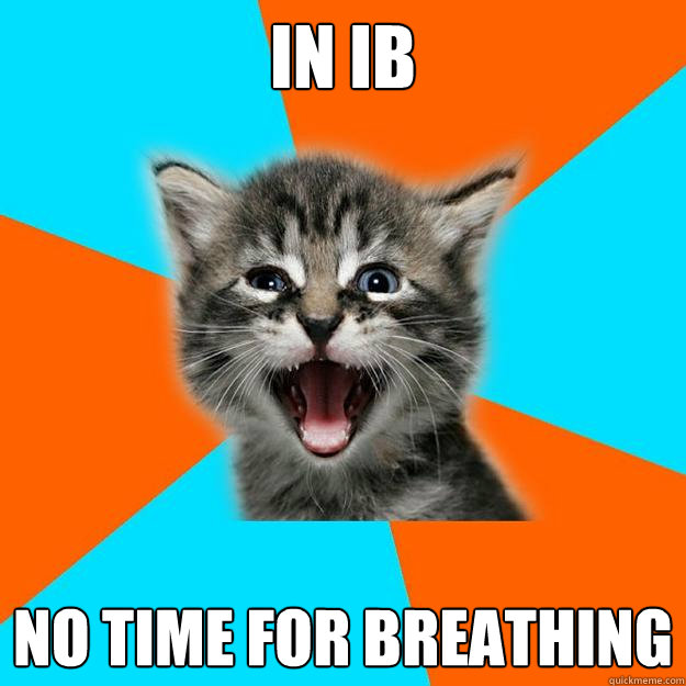 in ib no time for breathing  IB Kitten - First Day