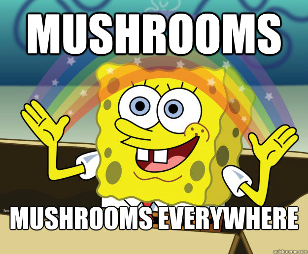 Mushrooms Mushrooms everywhere  