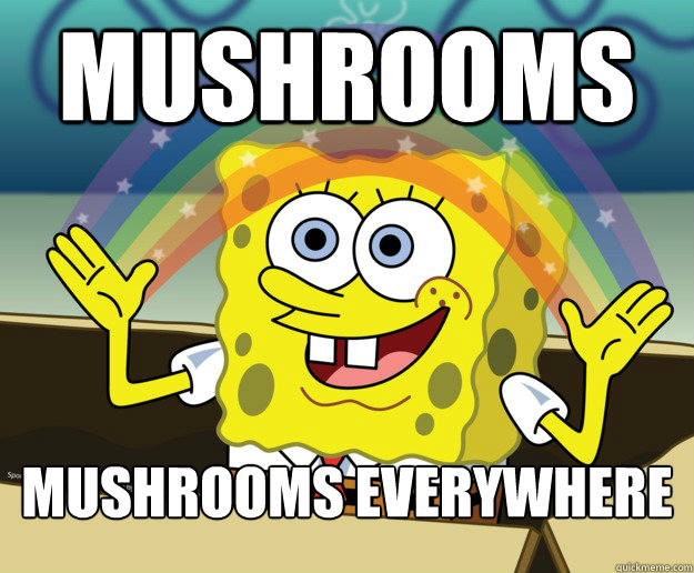 Mushrooms Mushrooms everywhere  Spongebob gay