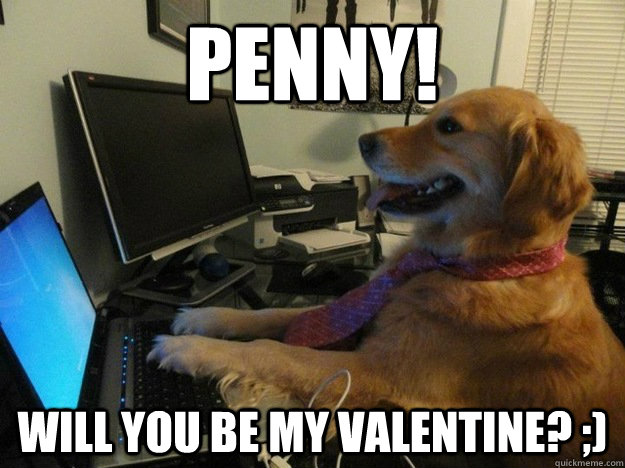 penny! will you be my valentine? ;) - penny! will you be my valentine? ;)  Valentines Dog
