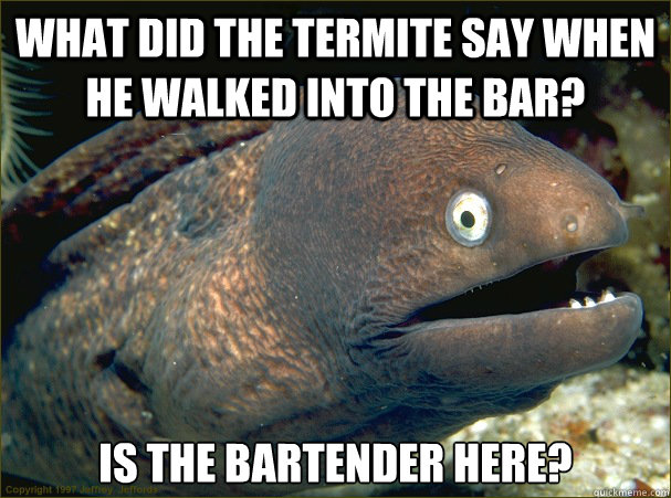 What did the termite say when he walked into the bar? Is the bartender here?  Bad Joke Eel