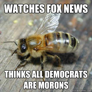watches fox news thinks all democrats are morons   Hivemind bee