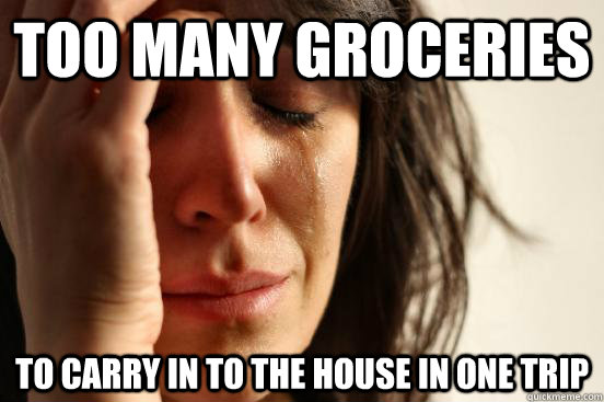 too many groceries To carry in to the house in one trip  First World Problems