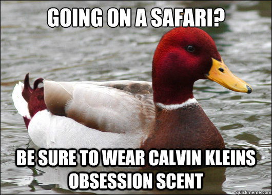 going on a Safari?
 Be sure to wear Calvin Kleins Obsession scent  Malicious Advice Mallard