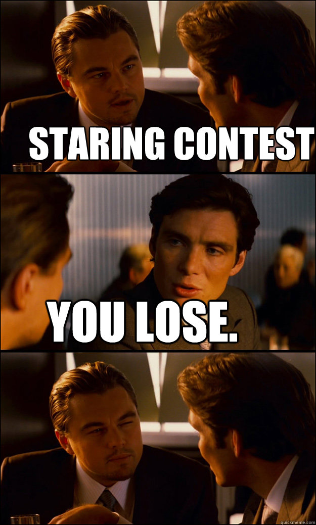 Staring contest You lose. - Staring contest You lose.  Inception
