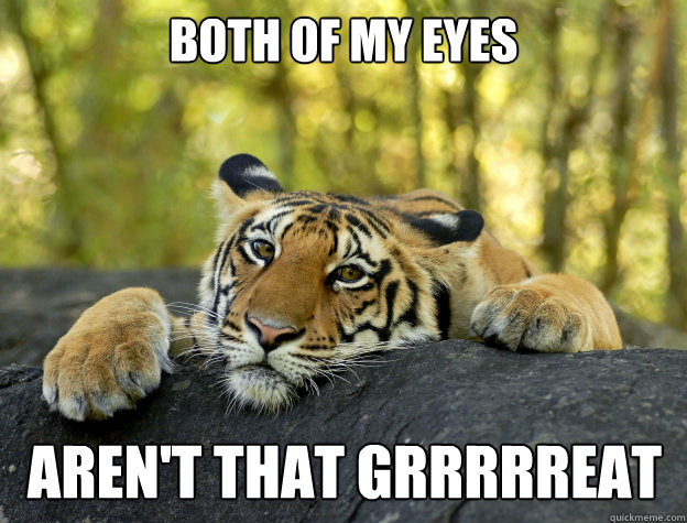 Both of my eyes  aren't that grrrrreat - Both of my eyes  aren't that grrrrreat  Confession Tiger