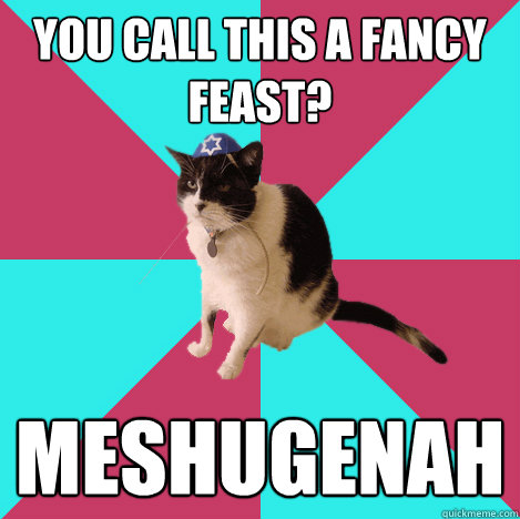 you call this a fancy feast? meshugenah  Jew Cat is Jewish