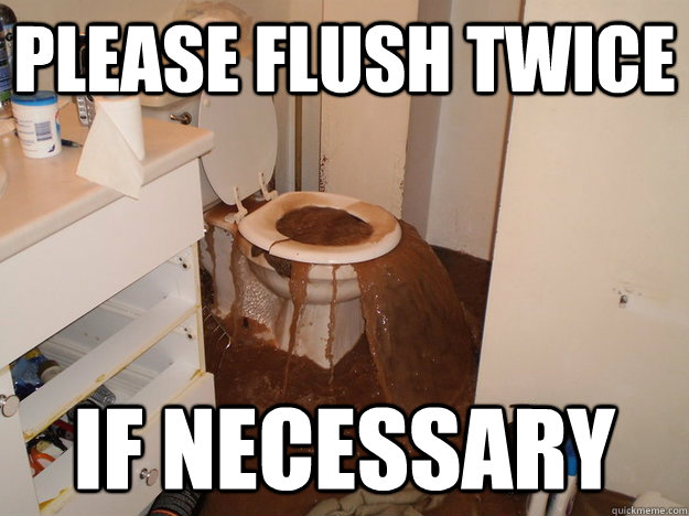 Please Flush Twice If necessary  Toilet Terror