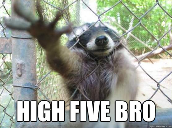  High five bro -  High five bro  Bro Racoon