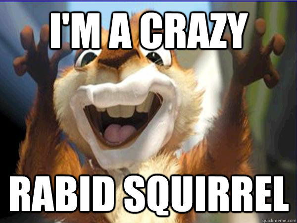 I'm a Crazy Rabid squirrel - I'm a Crazy Rabid squirrel  Misc