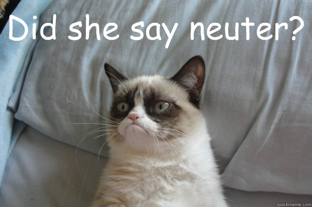 Did she say neuter?   