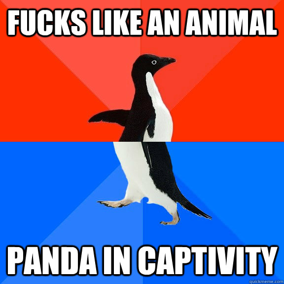 Fucks Like an animal Panda in captivity - Fucks Like an animal Panda in captivity  Socially Awesome Awkward Penguin