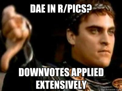 DAE in r/pics? Downvotes applied extensively  Downvoting Roman