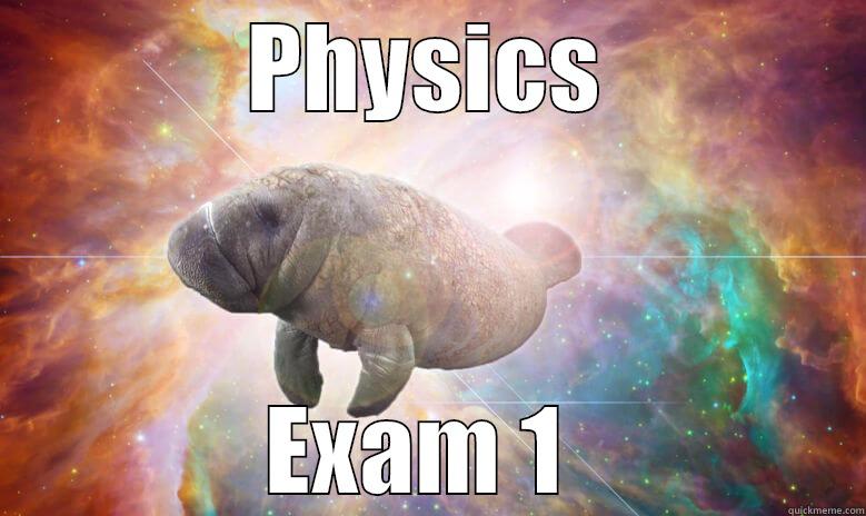 PHYSICS EXAM 1  Overlord Manatee