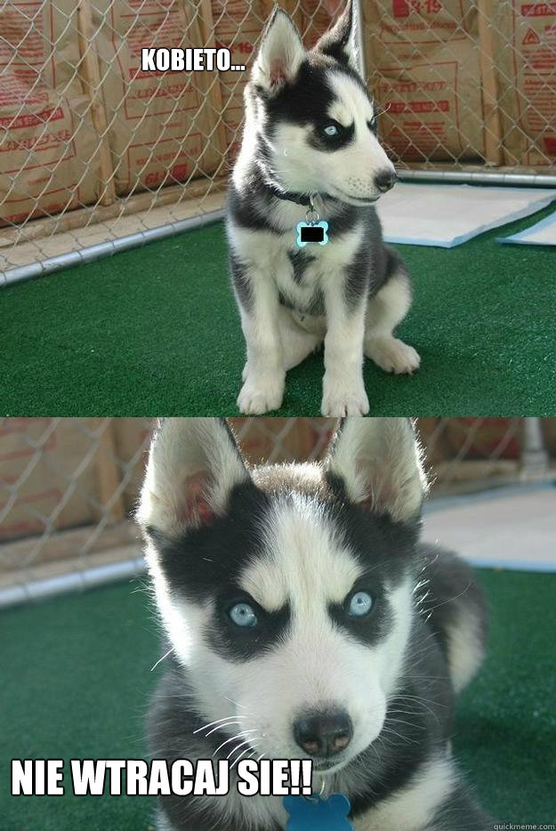                             kobieto...



 
nie wtracaj sie!!  Insanity puppy