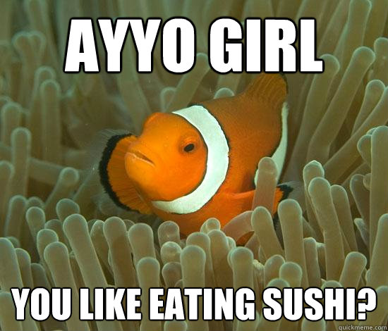 Ayyo Girl you like eating sushi?  Guido Clownfish