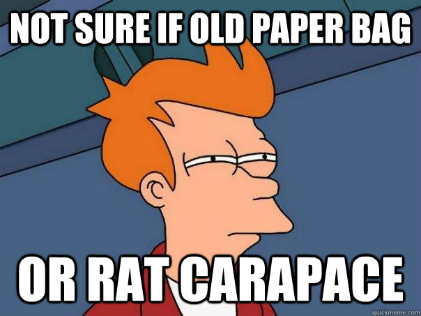 Not sure if old paper bag Or rat carapace   Futurama Fry