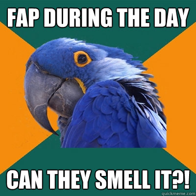 fap during the day can they smell it?!  Paranoid Parrot
