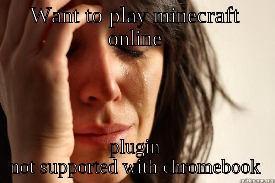 WANT TO PLAY MINECRAFT ONLINE PLUGIN NOT SUPPORTED WITH CHROMEBOOK First World Problems