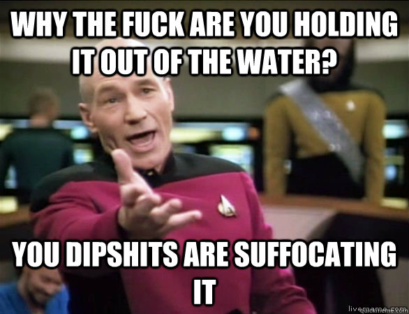 why the fuck are you holding it out of the water? you dipshits are suffocating it  Annoyed Picard HD