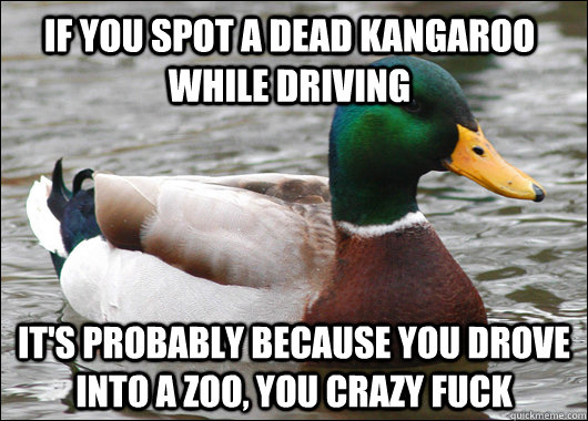 if you spot a dead kangaroo while driving it's probably because you drove into a zoo, you crazy fuck  Actual Advice Mallard