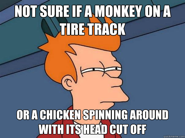 Not sure if a monkey on a tire track  Or a chicken spinning around with its head cut off  Futurama Fry