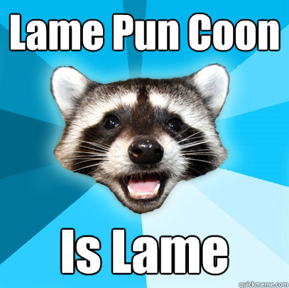 Lame Pun Coon Is Lame  Lame Pun Coon
