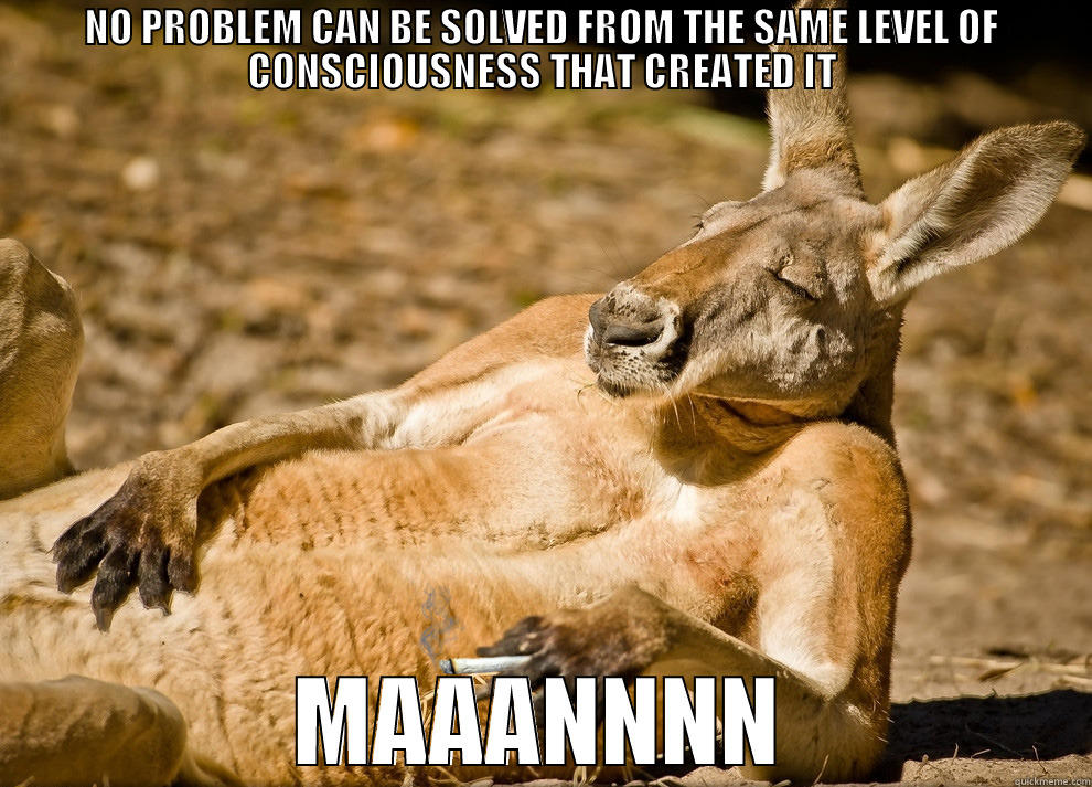 NO PROBLEM CAN BE SOLVED FROM THE SAME LEVEL OF CONSCIOUSNESS THAT CREATED IT MAAANNNN Misc