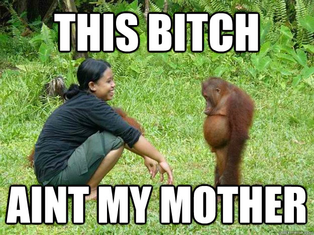 This Bitch Aint my mother  