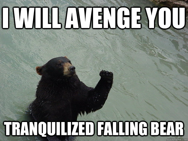 i will avenge you tranquilized falling bear  Vengeful Bear