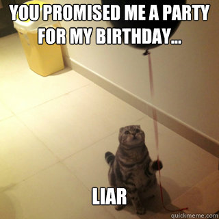 You promised me a party for my birthday... Liar  Sad Birthday Cat