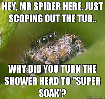 HEY, MR SPIDER HERE, JUST SCOPING OUT THE TUB.. WHY DID YOU TURN THE SHOWER HEAD TO 