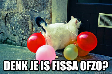  DENK JE IS FISSA OFZO? -  DENK JE IS FISSA OFZO?  fISSACAT