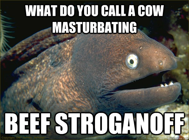 what do you call a cow masturbating beef stroganoff  Bad Joke Eel