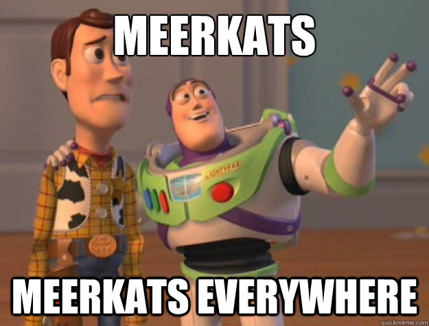 Meerkats Meerkats everywhere - Meerkats Meerkats everywhere  Buzz Lightyear