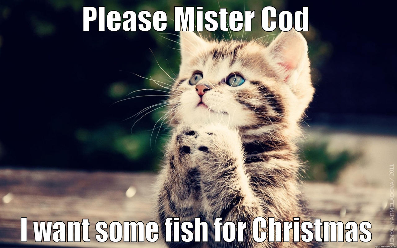 PLEASE MISTER COD I WANT SOME FISH FOR CHRISTMAS Misc