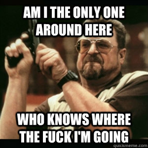 Am i the only one around here who knows where the fuck i'm going  Am I The Only One Round Here