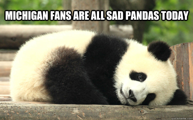 Michigan fans are all sad pandas today  