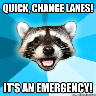 Quick, Change lanes! it's an emergency!   Lame Pun Raccoon