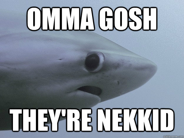 Omma Gosh They're nekkid  Shy Shark