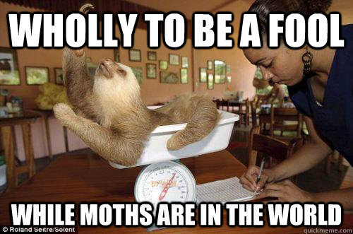 wholly to be a fool while moths are in the world  Dramatic Sloth