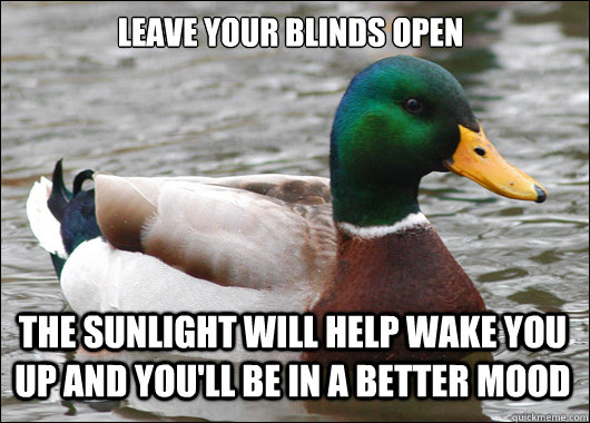 Leave your blinds open The sunlight will help wake you up and you'll be in a better mood  Actual Advice Mallard
