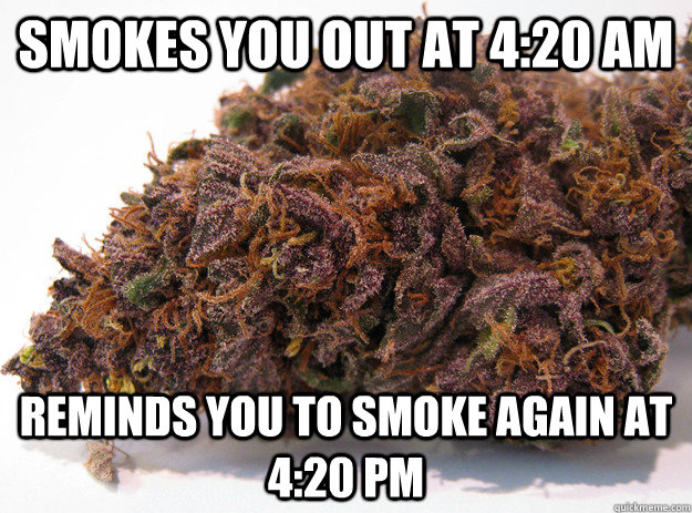 Smokes you out at 4:20 am Reminds you to smoke again at 4:20 pm - Smokes you out at 4:20 am Reminds you to smoke again at 4:20 pm  Good Guy Marijuana