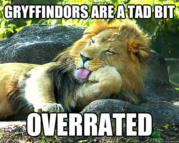 gryffindors are a tad bit  overrated  