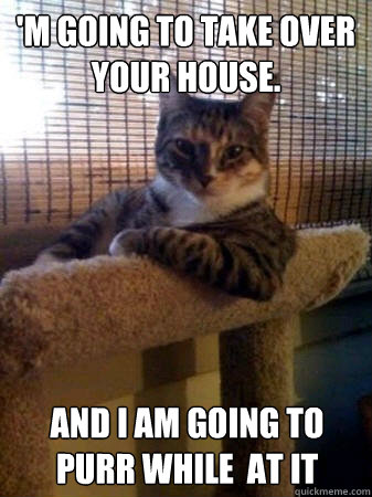 'M going to take over your house. And I am going to purr while  at it  The Most Interesting Cat in the World