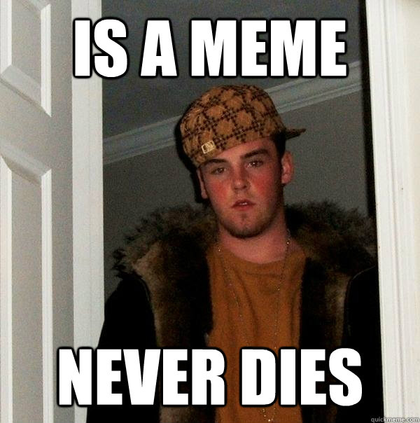 is a meme never dies  Scumbag Steve