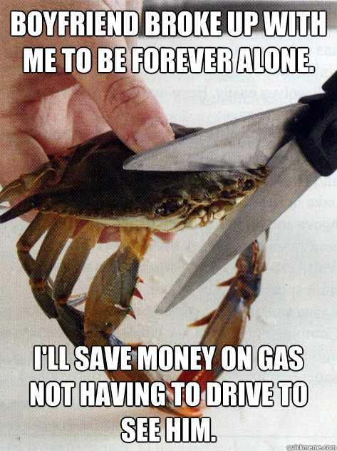 Boyfriend broke up with me to be forever alone. I'll save money on gas not having to drive to see him. - Boyfriend broke up with me to be forever alone. I'll save money on gas not having to drive to see him.  Optimistic Crab